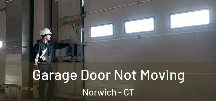  Garage Door Not Moving Norwich - CT