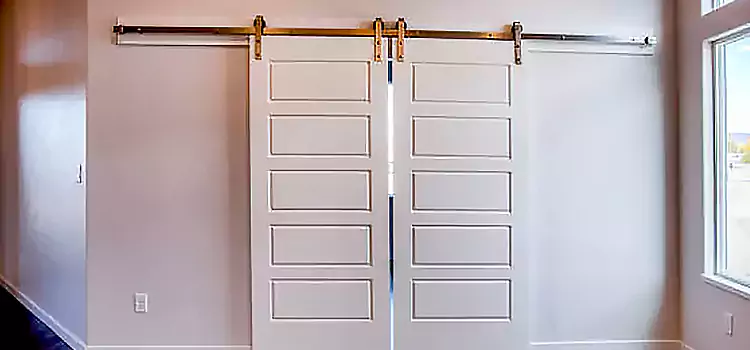 Glass Barn Door with Installation Hardware Kit Norwich
